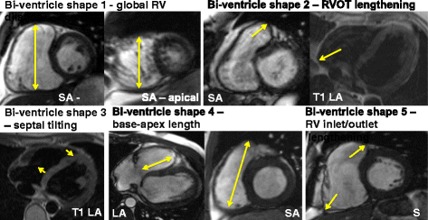 Fig. 5