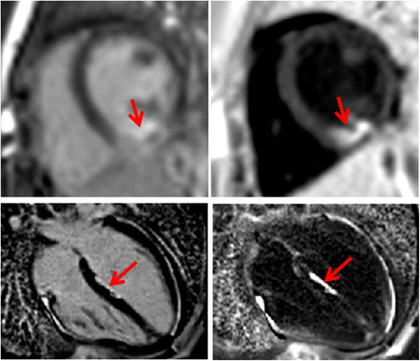 Fig. 8