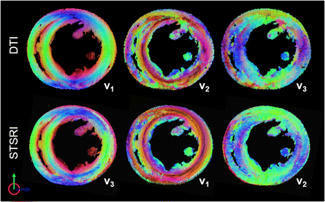 Fig. 6