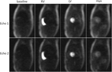 Fig. 9