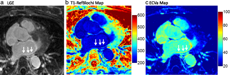 Fig. 10