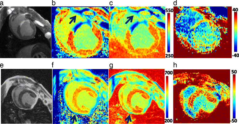 Fig. 6