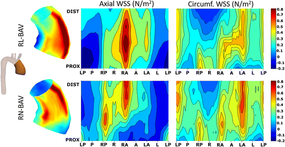 Fig. 6