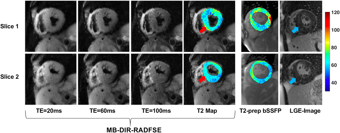 Fig. 10