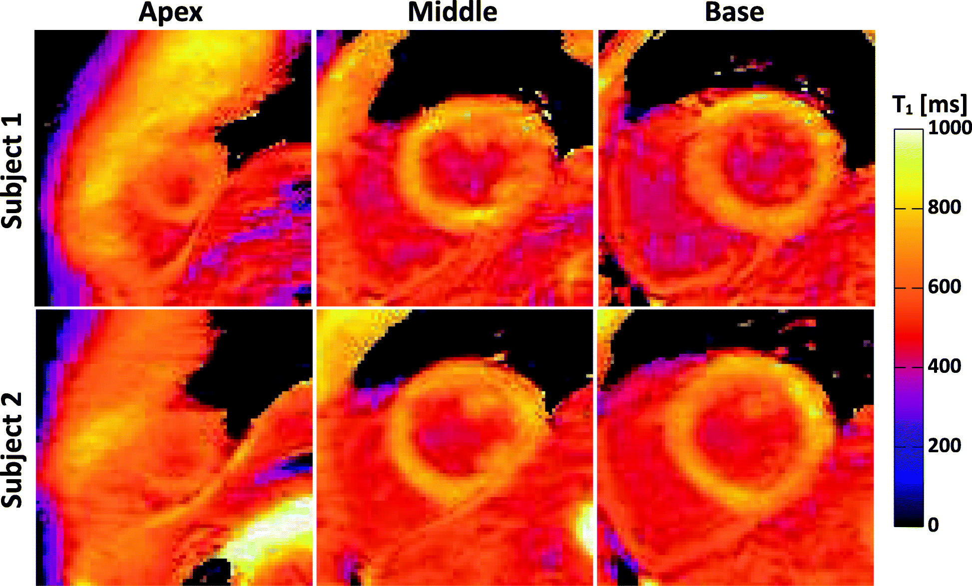 Fig. 10