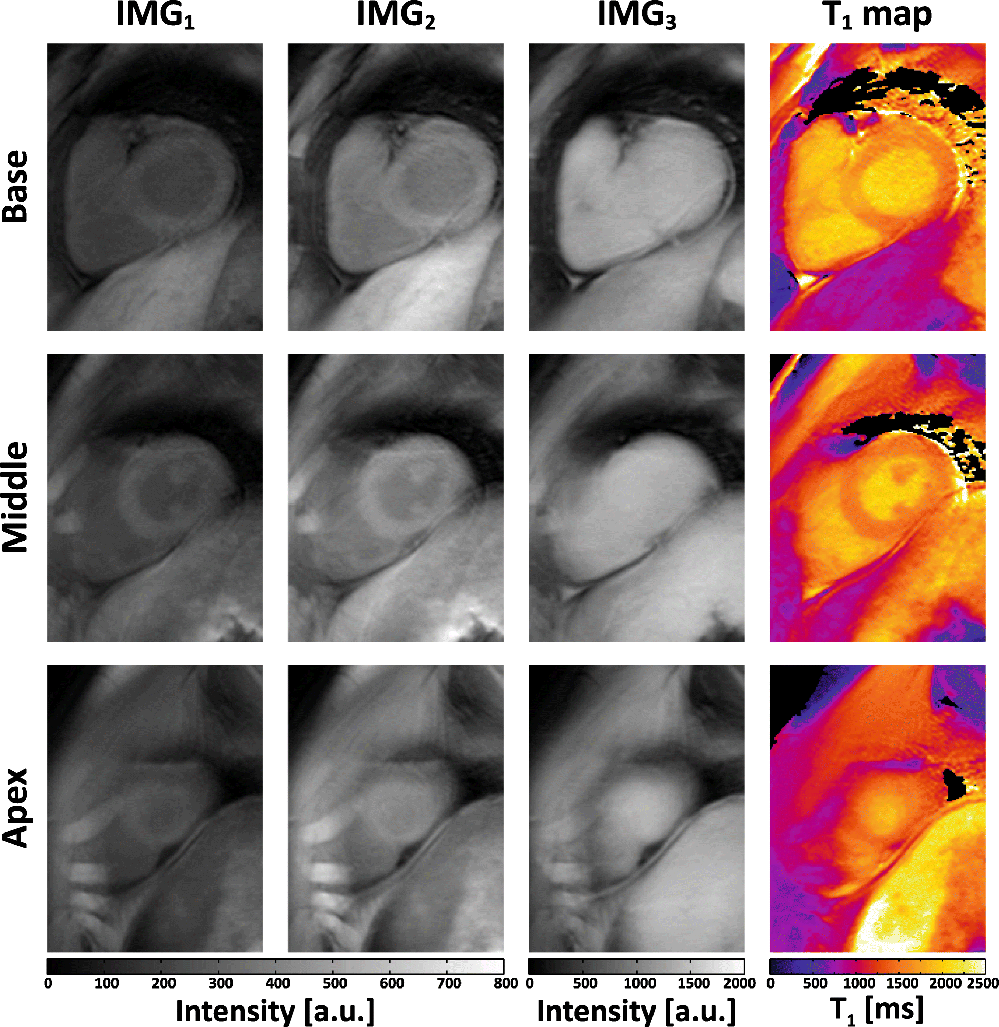 Fig. 5