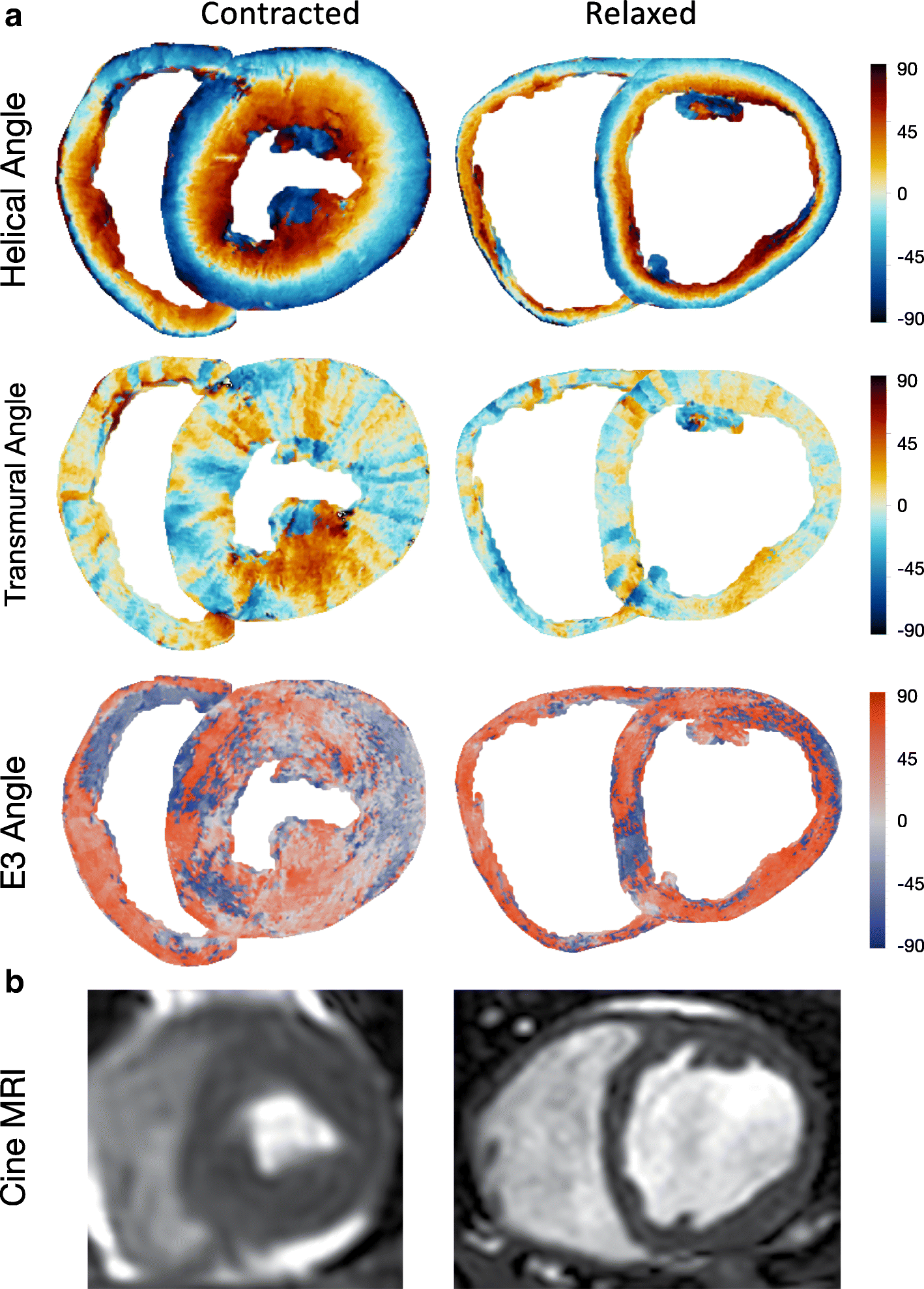 Fig. 6