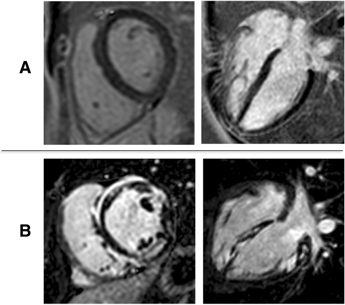 Fig. 5