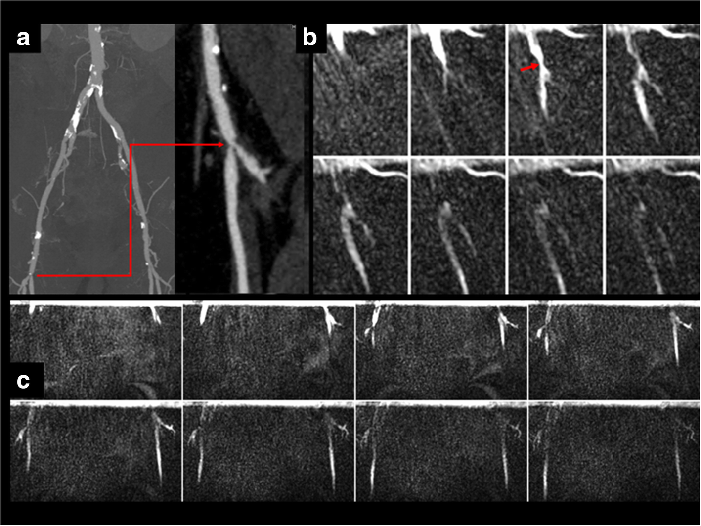 Fig. 5