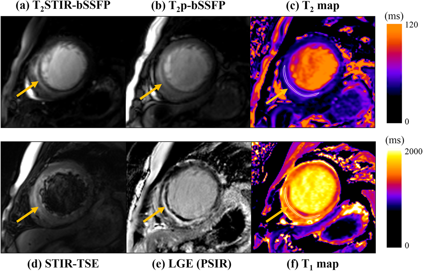 Fig. 6