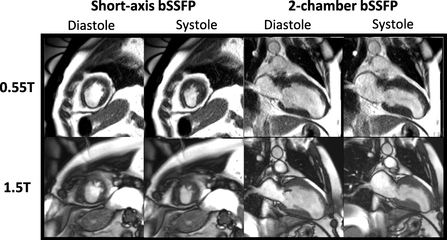 Fig. 5