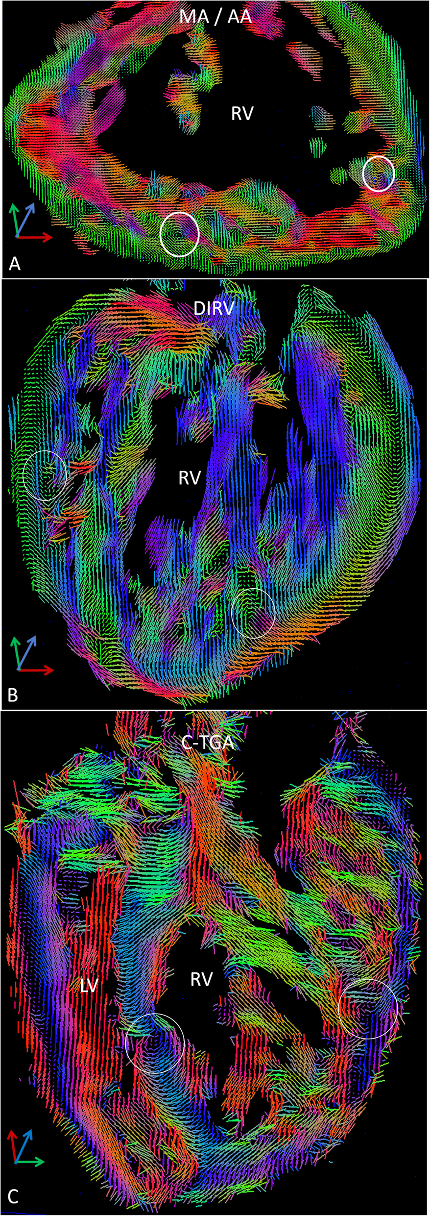 Fig. 6