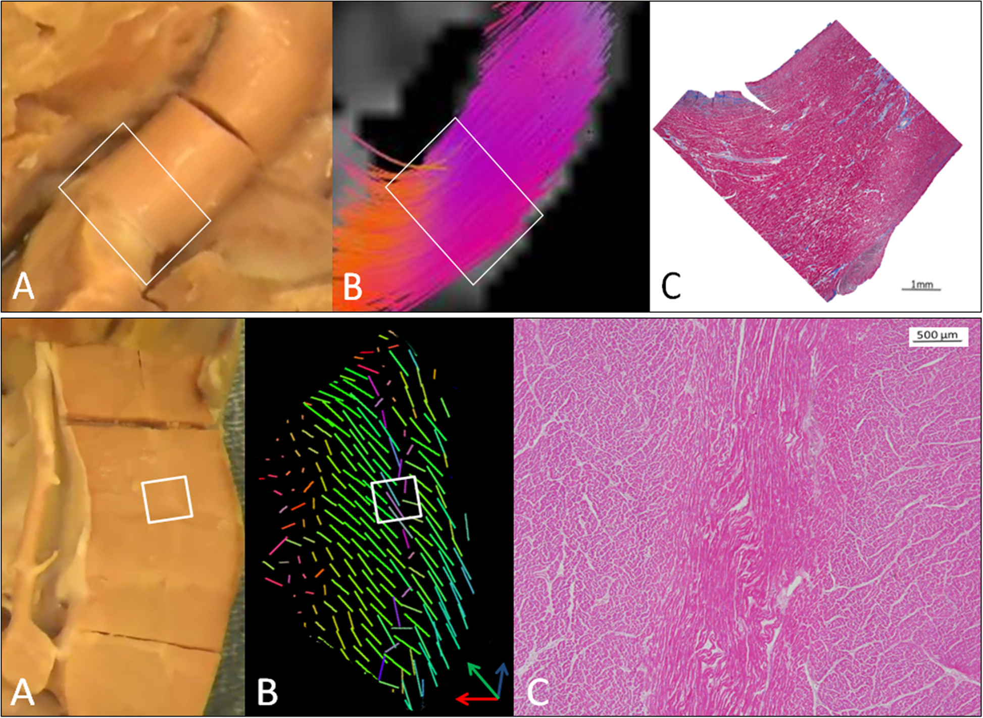 Fig. 7