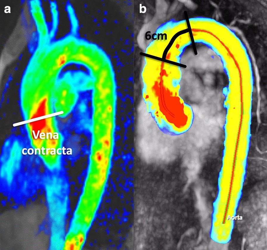 Fig. 8