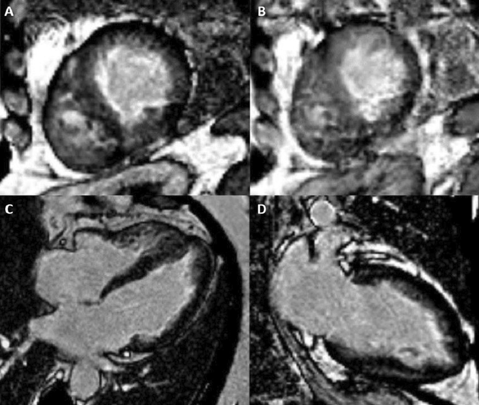 Fig. 8