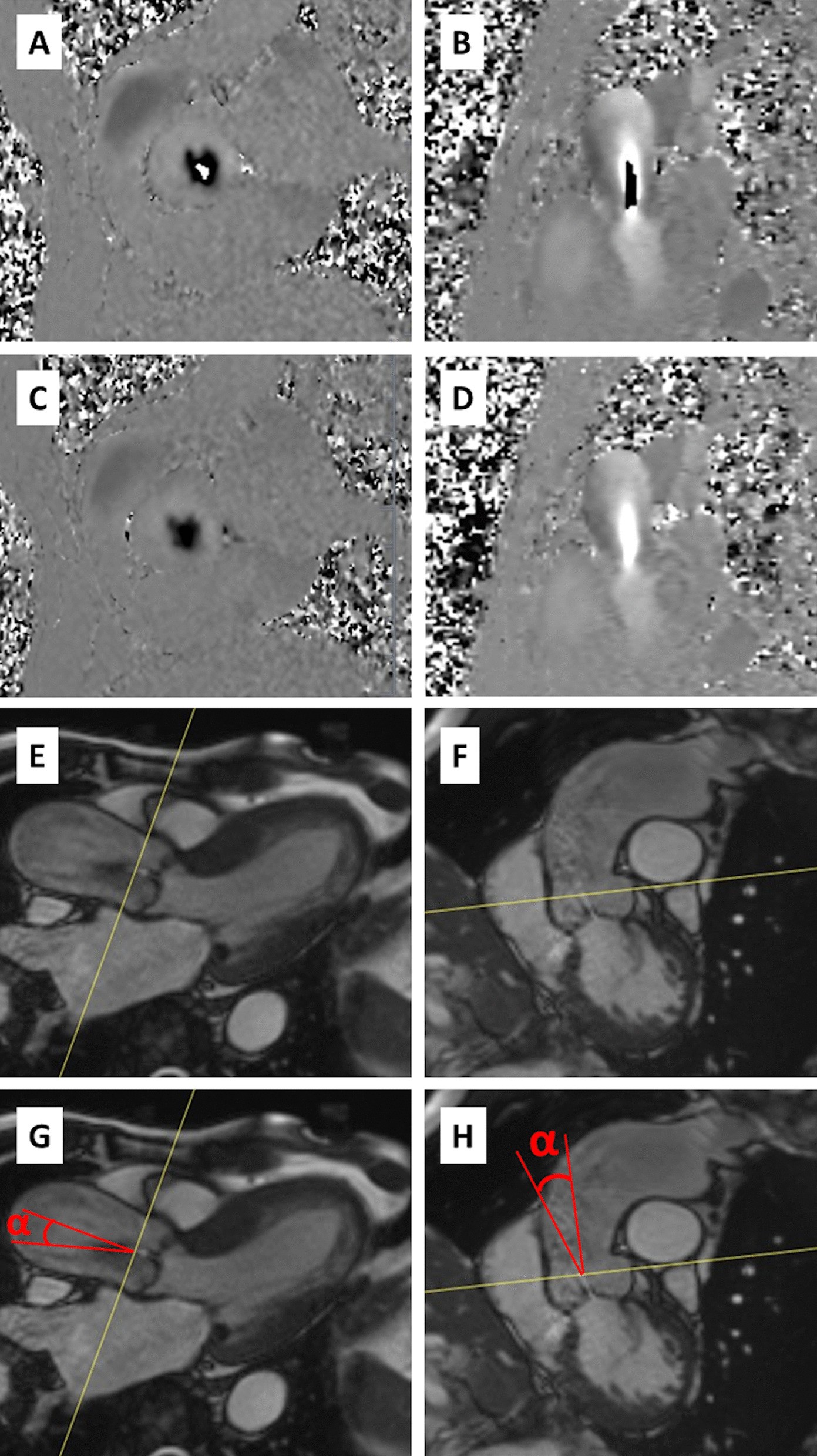 Fig. 1 