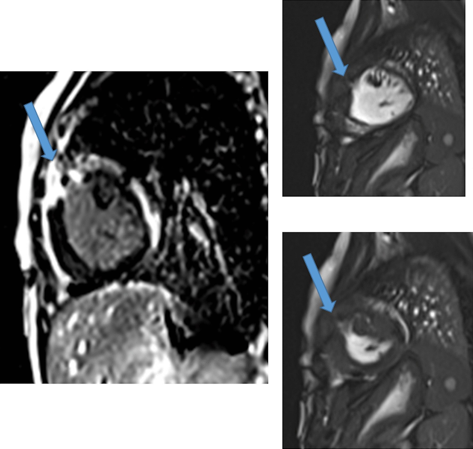 Fig. 5