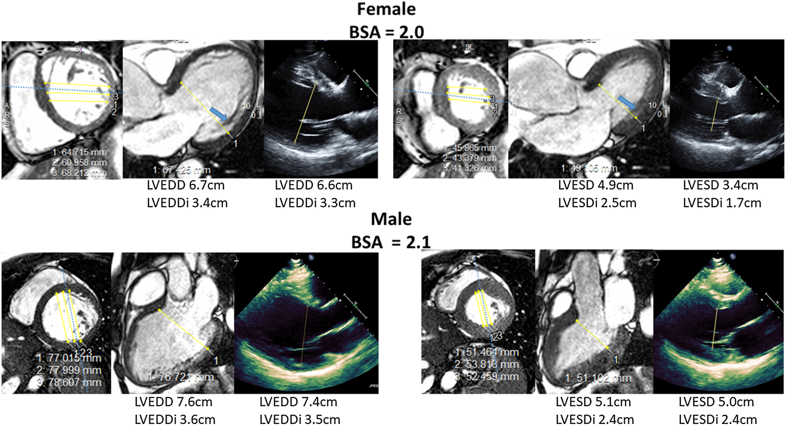 Fig. 7