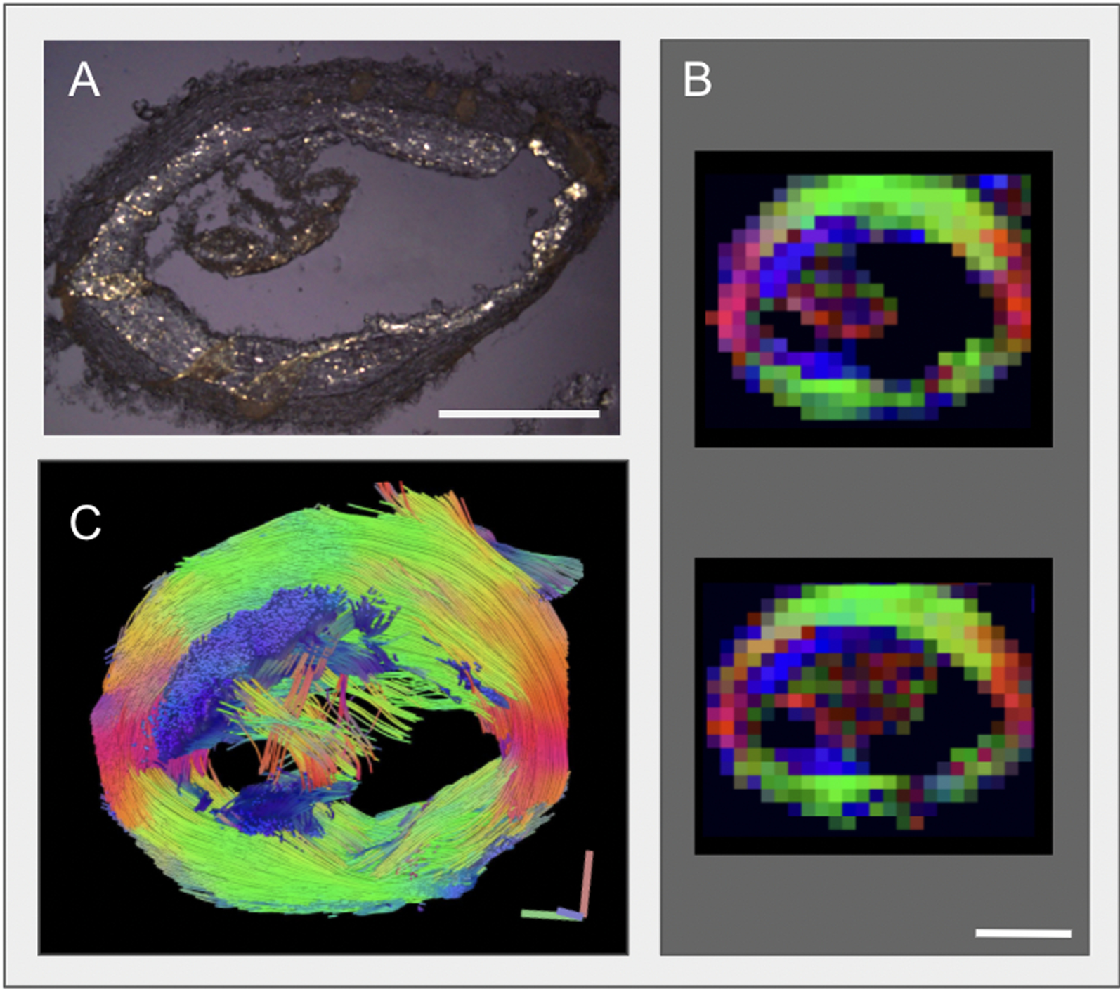 Fig. 8