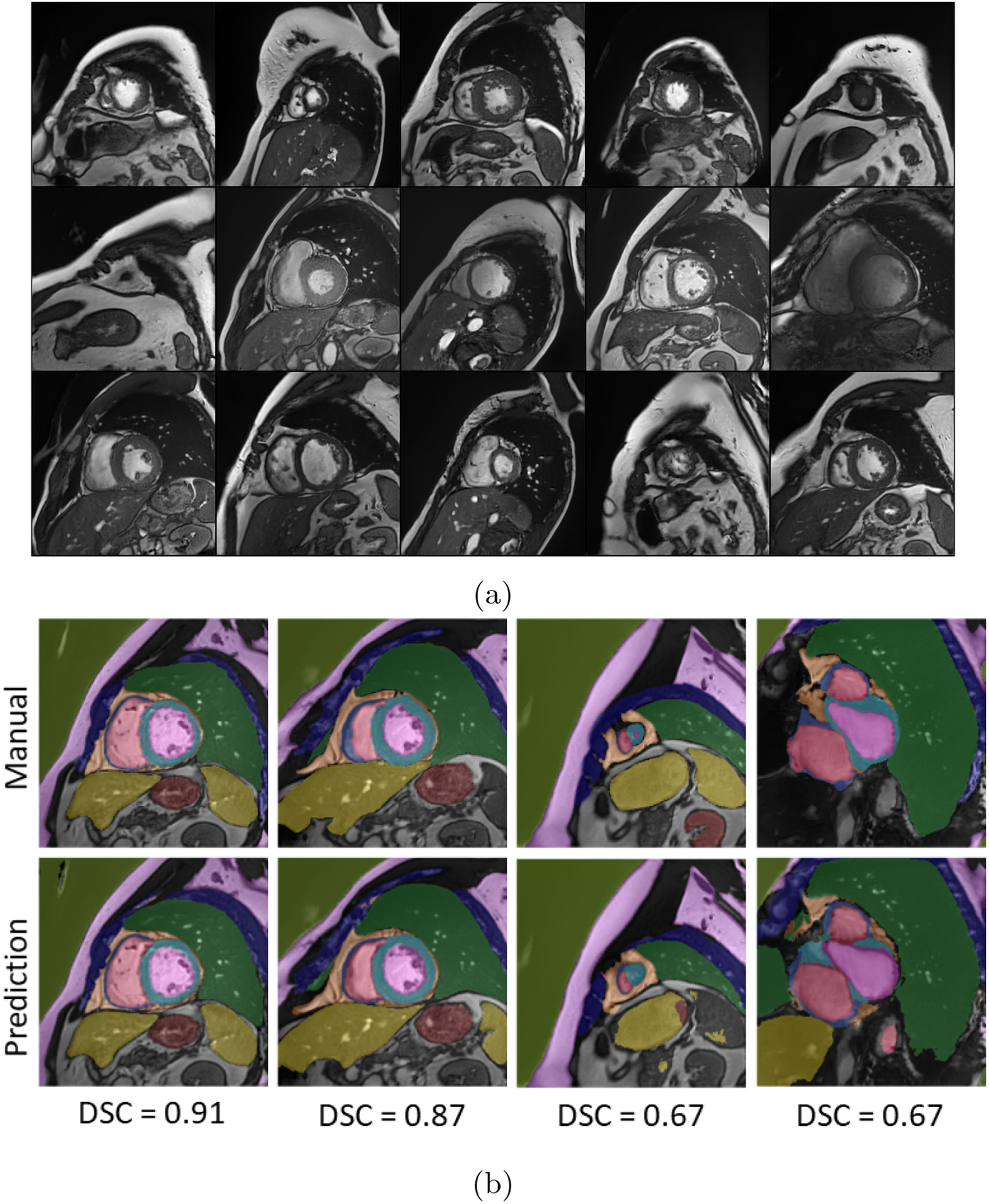 Fig. 7