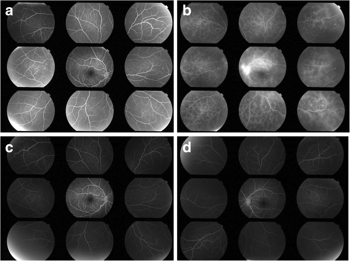 Fig. 5