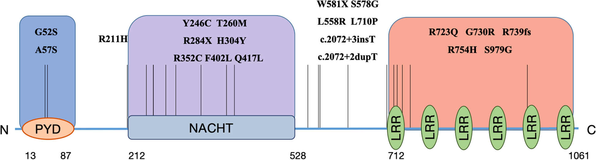 Fig. 2