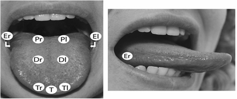 Fig. 2