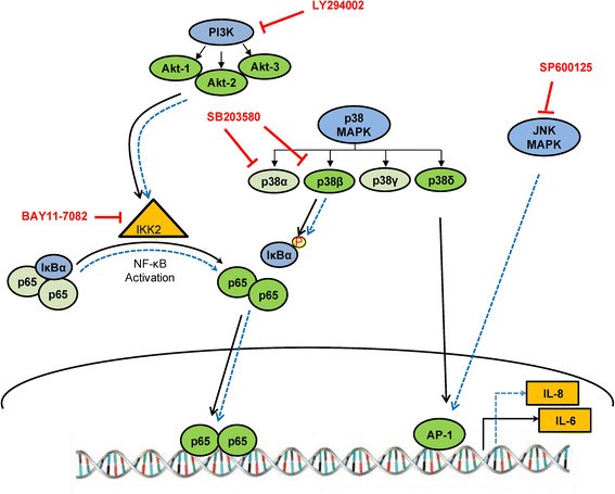 Figure 9