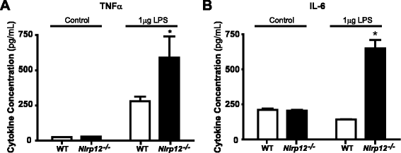 Fig. 11