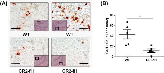 Fig. 10