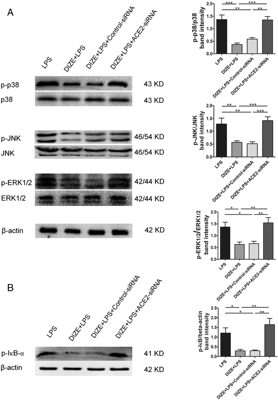 Fig. 12