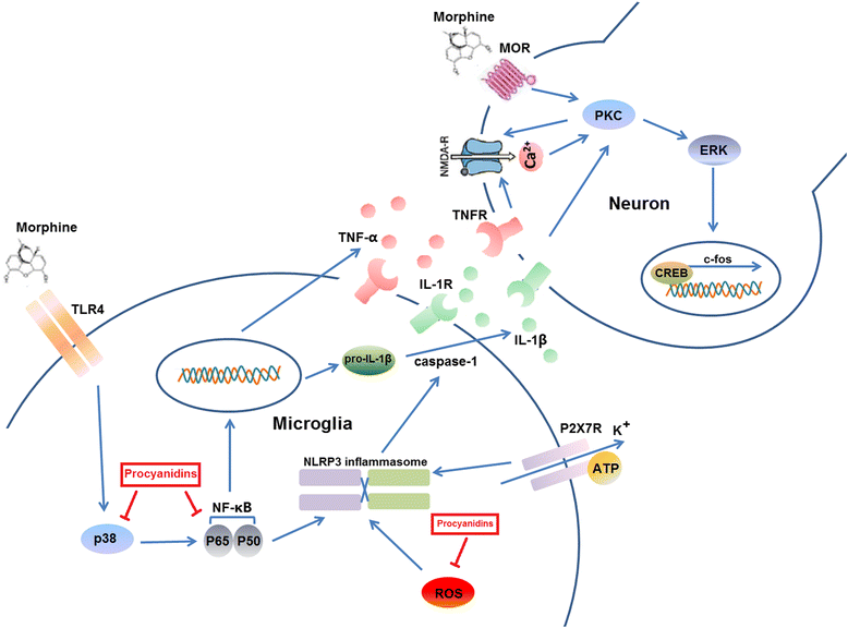 Fig. 6