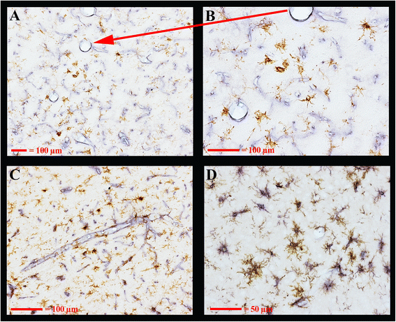 Fig. 8