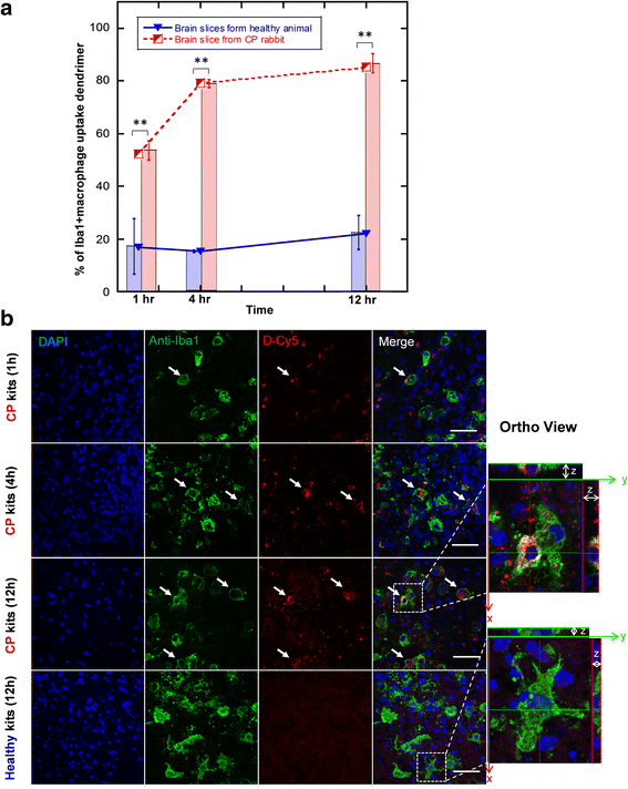 Fig. 6