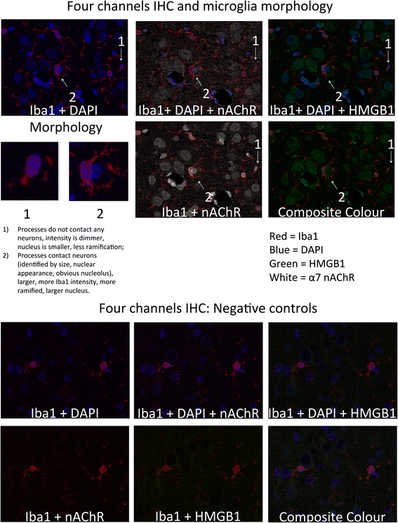 Fig. 4