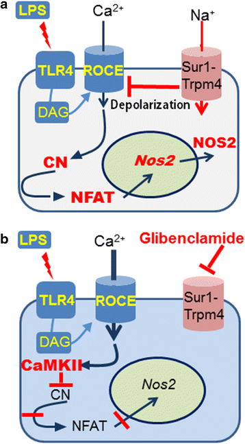 Fig. 11