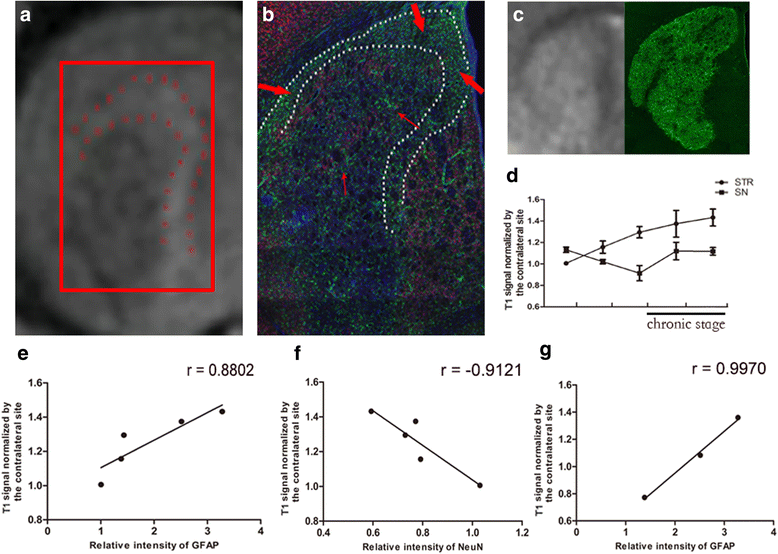 Fig. 8