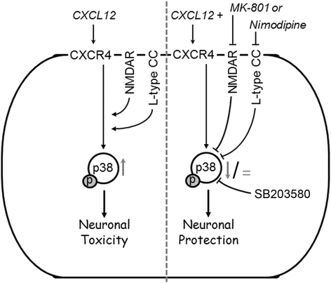 Fig. 8