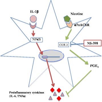 Fig. 9