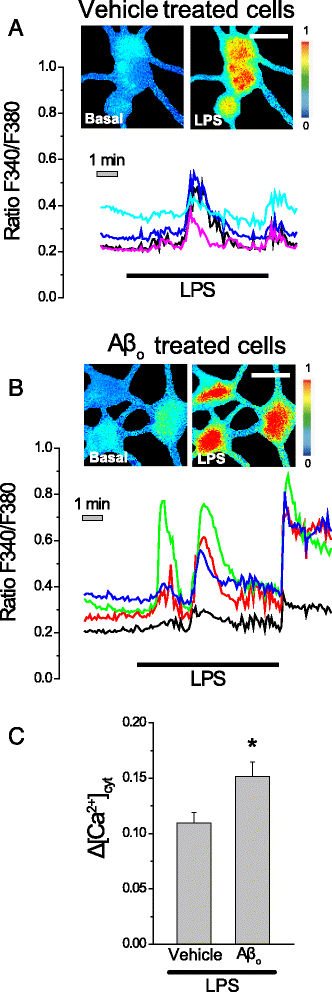 Fig. 6