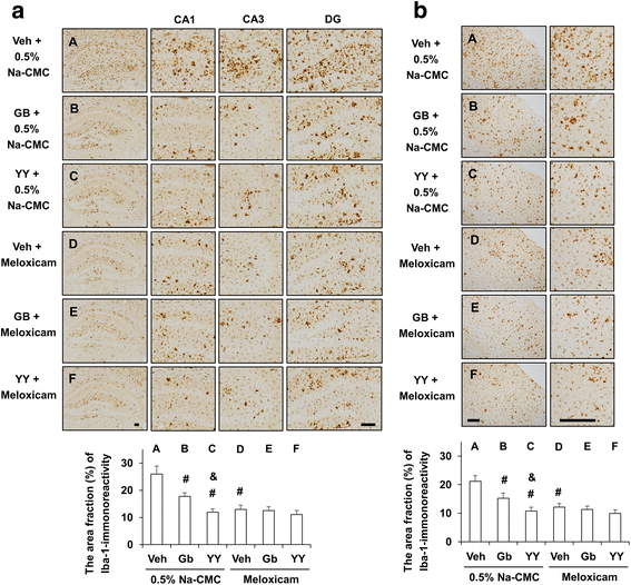 Fig. 12