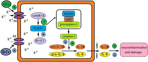 Fig. 10