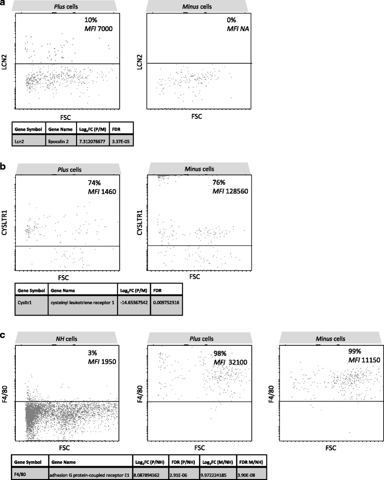 Fig. 11