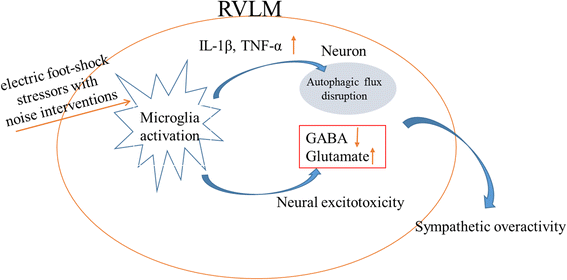 Fig. 9