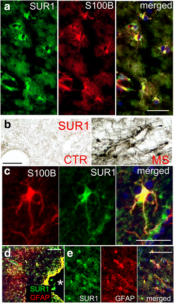 Fig. 10