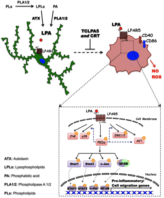 Fig. 16