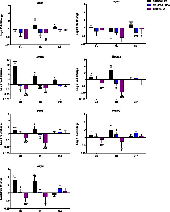 Fig. 7