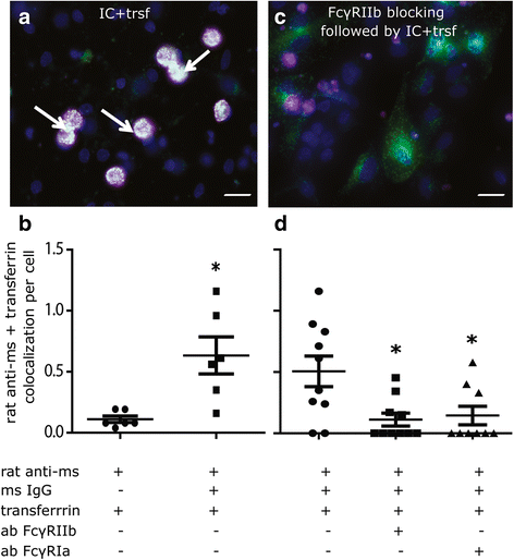 Fig. 10