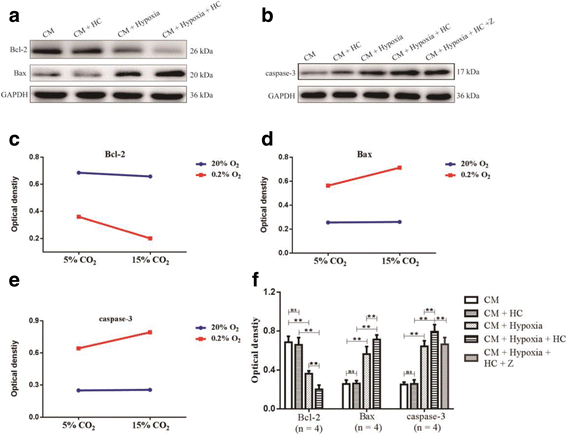 Fig. 11