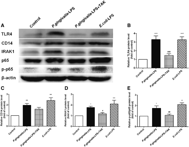 Fig. 11